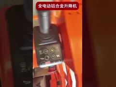 Widely Applicable Single Mast Lift With  Low Voltage Protection