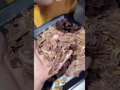 DQ-100 Multi Angle Adjustable Herb Slicer Machine 6.0kg Manual Slicer