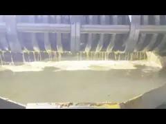 High Oil Rate Screw Moringa Seed Oil Extraction Machine With Oil Cake Feeder