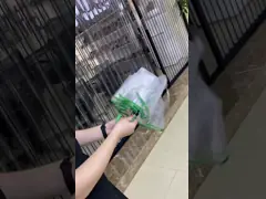 Minimalist Manual Open , Three Fold Leather Handle Transparent Rain Umbrella 21 Inches Easy To Carry