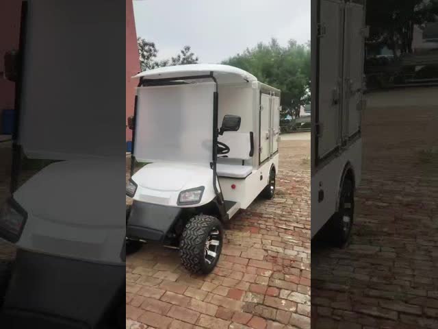 2人乗りクラシック 新エネルギーリチウム電池 電動ゴルフカート カラーとロゴをカスタマイズできます