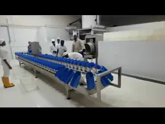 Mesin pemeringkat berat garis pembantaian ayam