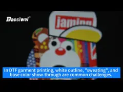 Решение для принтера одежды DTF 60cm, принтер DTF, Epson i3200, печать по запросу video