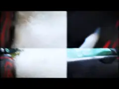 163hp 4x2 Wheel Drive Double Cabin Pickup with Dimensions 5310x1850x1910 mm