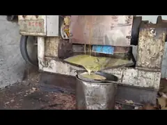 QINGJIANG Industrial Sunflower Cold Oil Press Machine With Electrical Cabinet Control