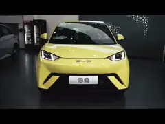 Hot Fluorescent Green BYD Seagull 405 Km New Energy Mobility Car Electric Factory Customization