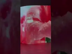 SMD 3mm Pixel P3 Curved LED Screen for Commercial Advertising Display