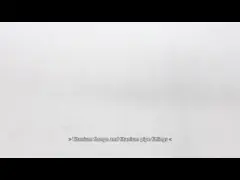 ASME B16.5 Class 600 Titanium Flanges High-Strength and Corrosion Resistance | slip on flange | Titanium flange