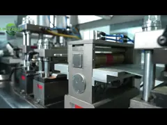 ODM&OEM Paecilomyces 헤피아리드 캡슐 코르디사이프스 미세리움 캡슐