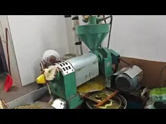 13-15T/D Automatic Oil Extraction Machin Cold Oil Press Machine Palm Kernals Oil Mill