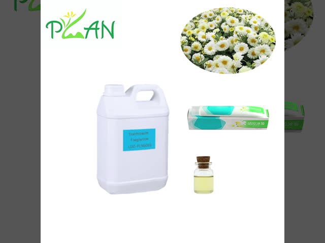 High Purity Chrysanthemum Base Fragrance Essence Oil Toothpaste Perfume Oil For Toothpaste Making