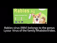 Canine And Feline Infectious Rabies Antibody Rapid Test Veterinary Testing For Cats