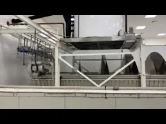 15 ton eendaagse roestvrijstalen vlok-ijsmachine voor de verwerking van kippen