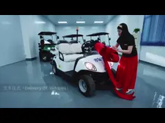 Chameleon Golf Cart (Lower Chassis, 6 Seats)