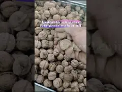 Масло грецкого ореха делая 65kg/h гидравлическую машину прессы глубинной вытяжки для небольшого завода масла video