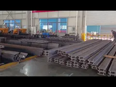 Track shoe and track chain