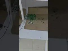 multi-language AI driven RVM system for plastic bottle,cans and glass recycling