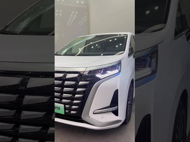 テングシ2024 EV 600KM 四輪駆動 ルックス型 5ドア 7人乗り MPV