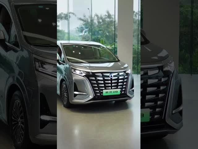 Distribuidores Tengshi 2024 EV 600KM Tração nas quatro rodas Veículo emblemático de 5 portas e 7 lugares