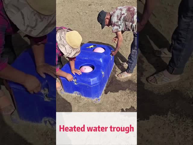 Aquecedor automático para gado com taxa de escoamento de 50 L/min e altura de consumo de 450 mm