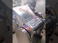 220V Stainless Steel Bakery Commercial Equipment Dough Maker 15Kg Capacity