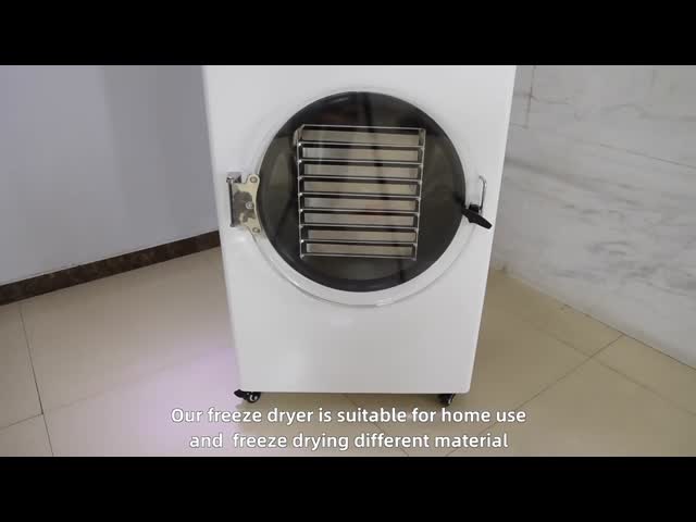 Home freeze dryer