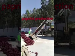 Red Dried Paprika Peppers Spice And Seasoning Powder For Food Ingredient Company