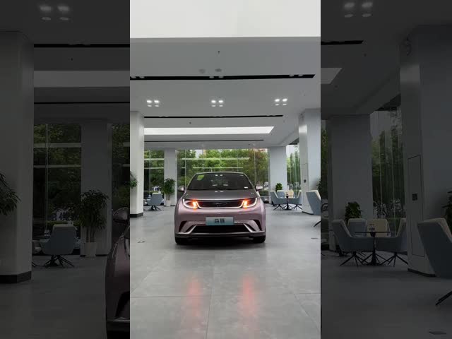 NEDC Haitun BYD Dolphins White Pink Electric Car 420km Range