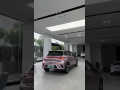 NEDC Haitun BYD Дельфины Белый Розовый Электрический Автомобиль Дальность 420 км video