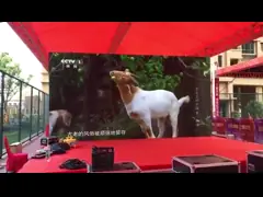 16 Bit 1920Hz Indoor Rental LED Screen Display With SMD2121 Led Chip