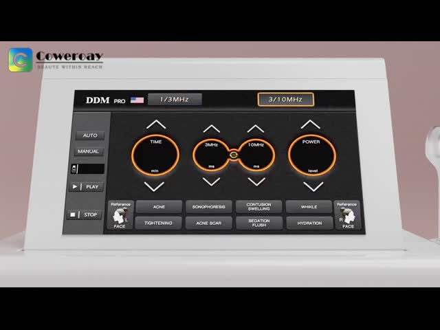 LDM 超音波 HIFU マシン 痩身のための顔リフティング