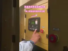 Foundation Treatment Of Muddy Soil BVEM Vibroflotation Equipment