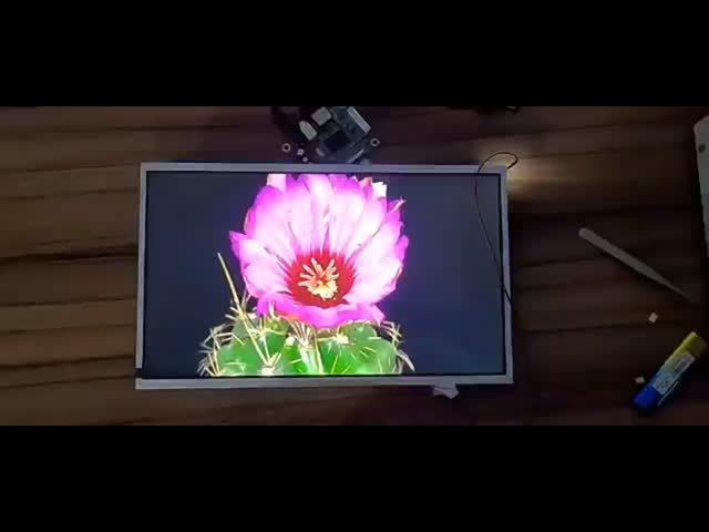 10.1 Inch Tft Display Module 1280X800 DOTS LVDS Interface Driving IC EK79202B1