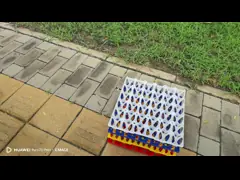 Versatile Sturdy Reusable Plastic Egg Cartons Egg Packing