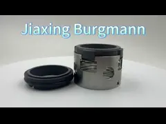 Всеобщая одиночная модель механического уплотнения H9A с кольцом SIC роторным & неподвижным video