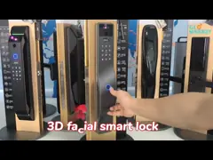 Hot selling black intelligent door lock with facial recognition and active intercom