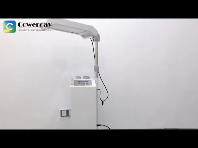 Pdt LEDライトセラピー 肌の白化 肌の再生 肌のケア 美容機