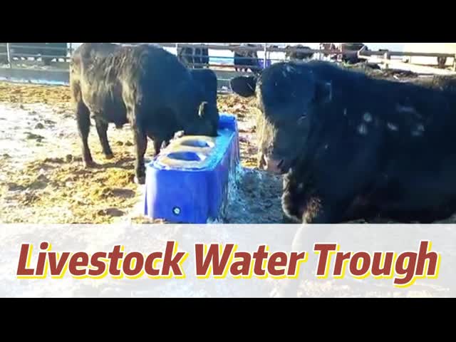 Голубой 60L коровный водоем с скованным шлангом и скоростью потока для большого молочного стада
