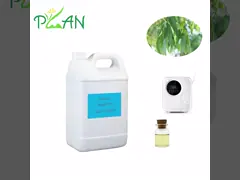 Eucalyptus Diffuser Parfümler Saf Doğal Fransa Çay Ağacı Yağı Parfümü