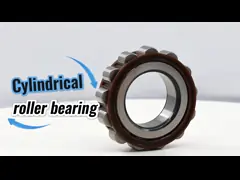 61243YSX Cylindrical Roller Nylon Cage Eccentric Bearing Koyo 61243 YSX for Gearbox 22*58*32 mm