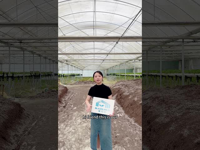 野菜と果物のためのガルバン化鋼管枠トンネル温室