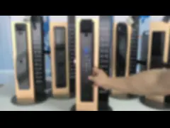 Glomarket Tuya Security Fully Automatic Smart Lock 3d Face Recognition Lock