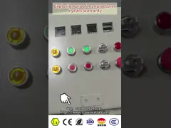 Flameproof IP66 Ex Db Eb IIC T6 Gb Ex Tb IIIC T80.C Db Wall Mount Aluminum Control Panel