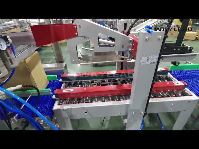 FX-6050 Автоматический герметизатор картонной бумаги 220V / 50Hz видео