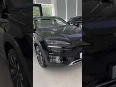 600 Mile Range BYD Song Plus Hatchback Electric Cars SUV