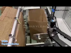 Вертикальная автоматическая машина для установки коробок из нержавеющей стали video