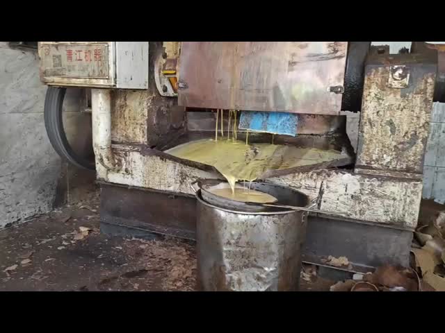 Máquina de extracção de óleo de cozinha de pressão de óleo de amendoim