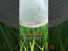 Фонтан на рисовом поле с порошком для борьбы с личинками комаров на обочине реки Урба video