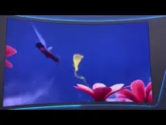 High Refresh Rate 3D Display Screen 100000hours Lifespan High Brightness High Definition