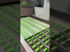 성인 젊음 활력을 위해 맞춤형 NMN 항 노화 캡슐